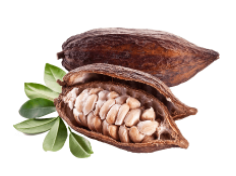 CACAO