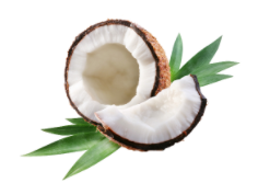COCONUT OIL